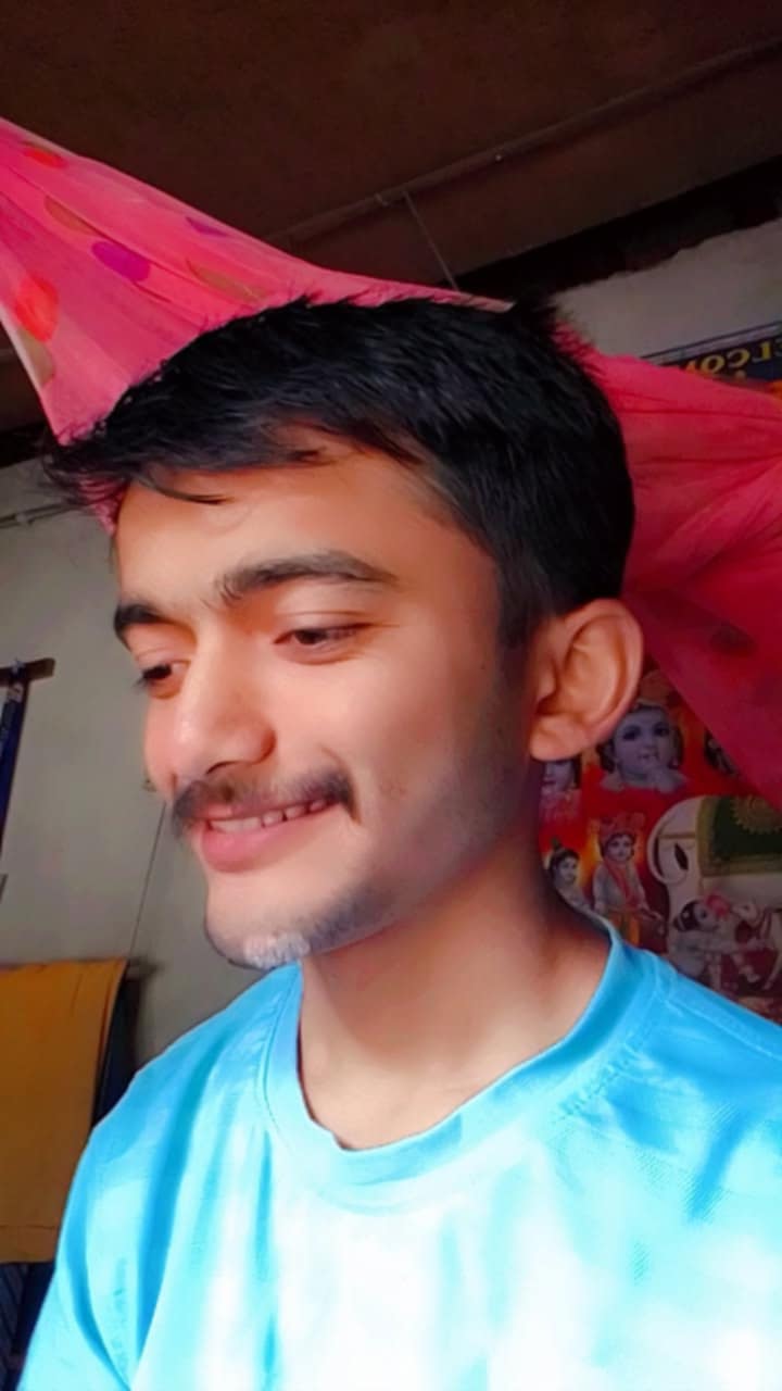 Professional Developer